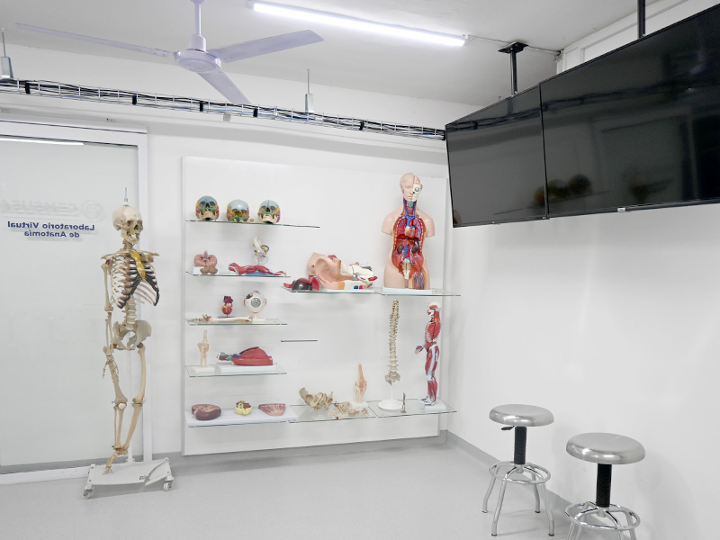 laboratorio-anato-universidad-san-angel-1
